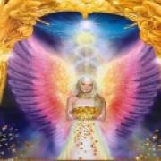 Foto reading met tarotist Hophe